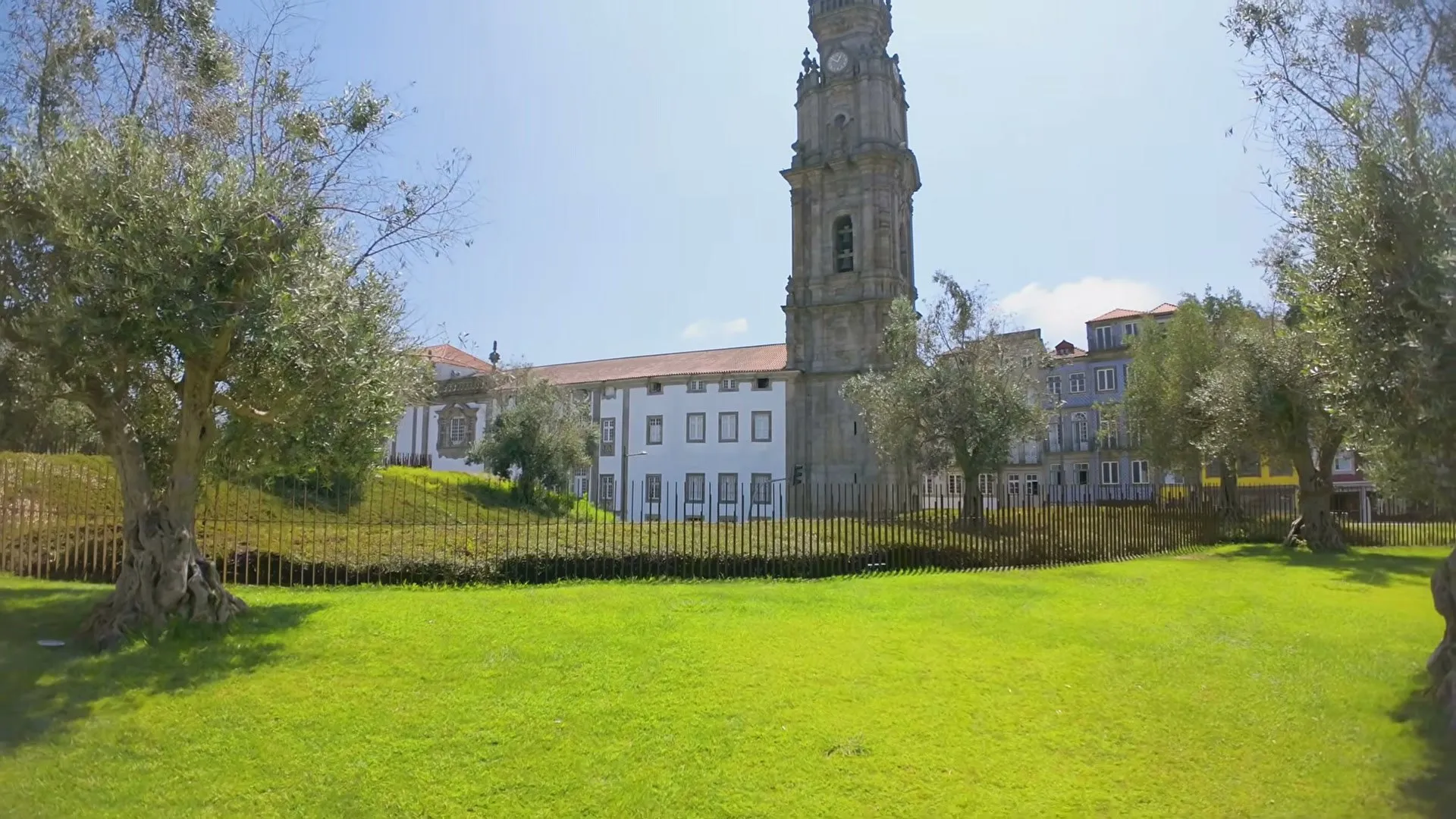 A bright green lawn with old olive trees and the Baroque Clérigos Tower rising behind a row of buildings under a blue sky