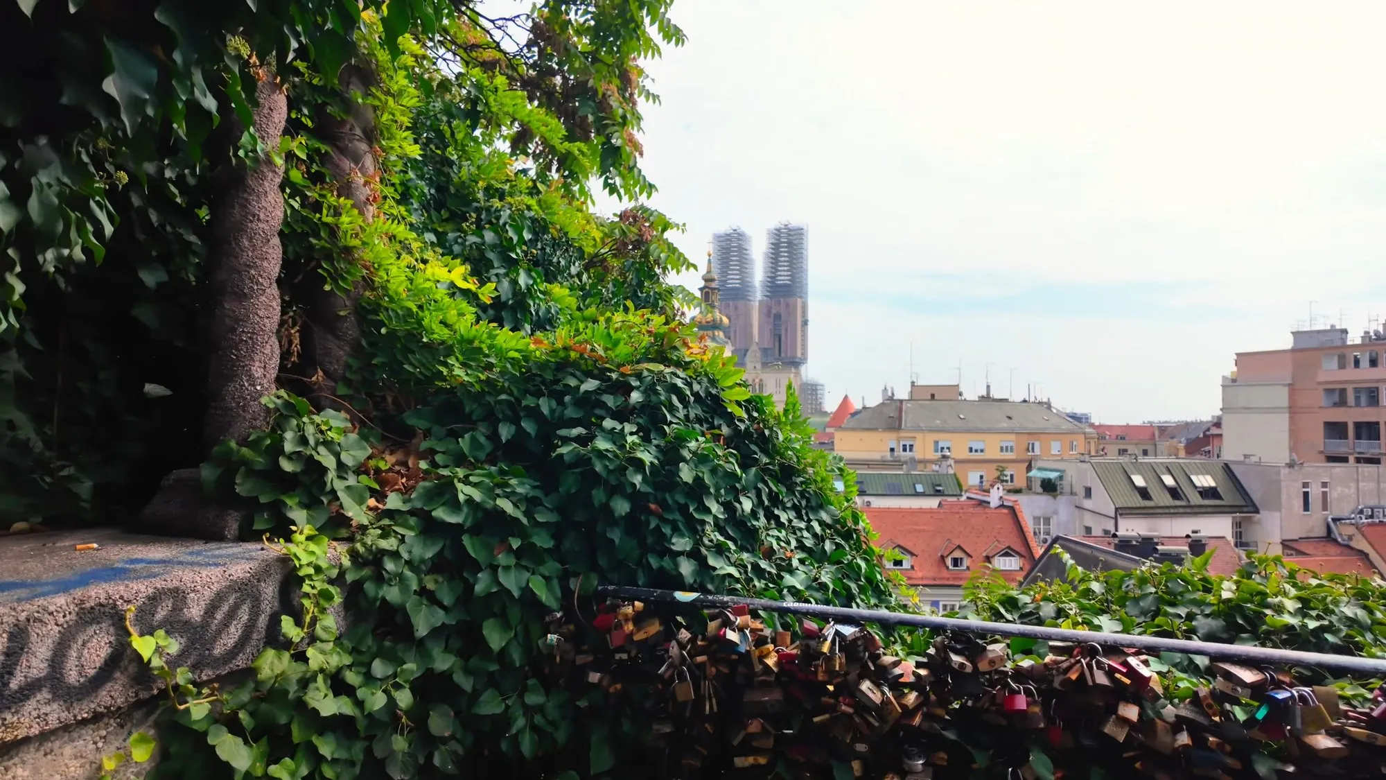 An ivy-covered railing on the Strossmayer Promenade in Zagreb hung with hundreds of padlocks, with red roofs and the two scaffolded spires of the cathedral beyond