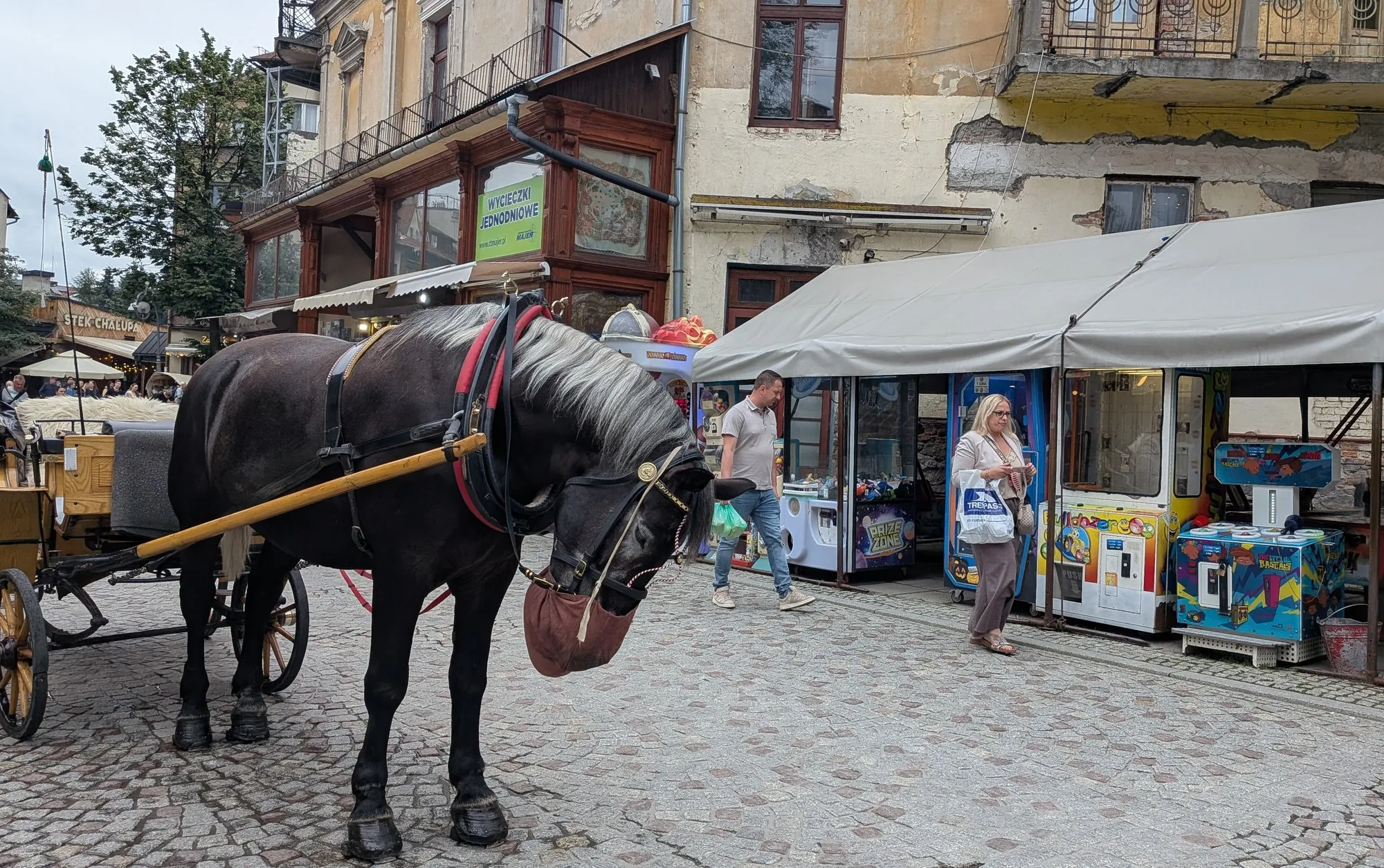 A dark horse with a red harness and a feed bag, hitched to a wooden carriage on the cobbles of Krupówki, with souvenir stalls and old wooden buildings behind